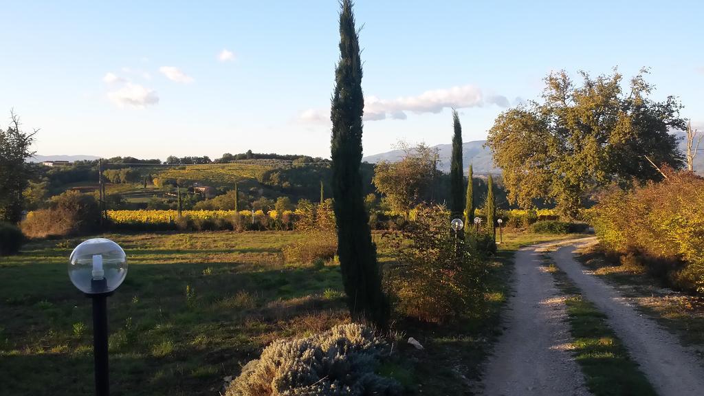 Agricampeggio Madonna Di Pogi Bucine Екстериор снимка